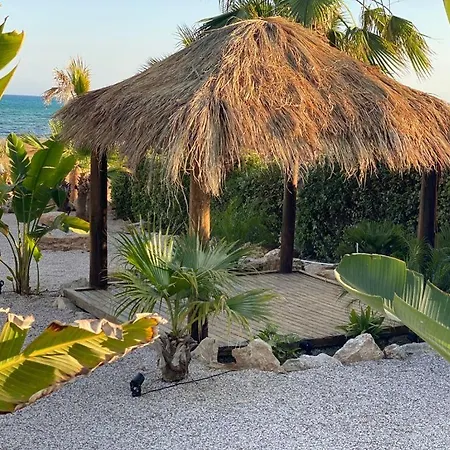 Whitekey Cyprus فيلة أيا نابا