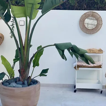 Villa Whitekey Cyprus